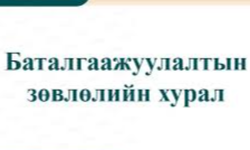 АЙМГИЙН ОРОН ТООНЫ БУС БАТАЛГААЖУУЛАЛТЫН ЗӨВЛӨЛ ХУРАЛДЛАА
